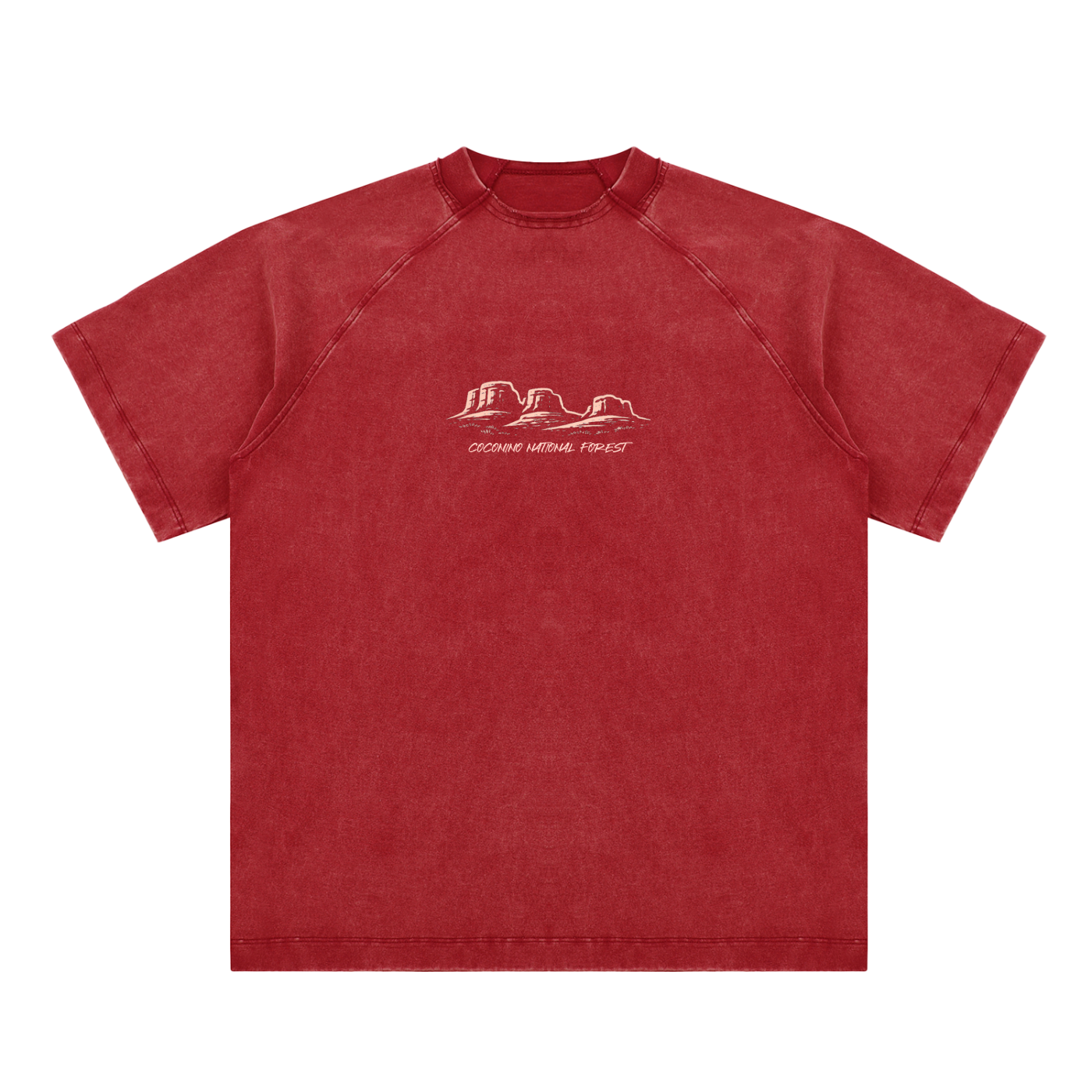 Arizona Vintage Washed T-Shirt